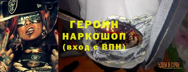 МДПВ Пересвет