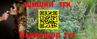 герыч Гагарин