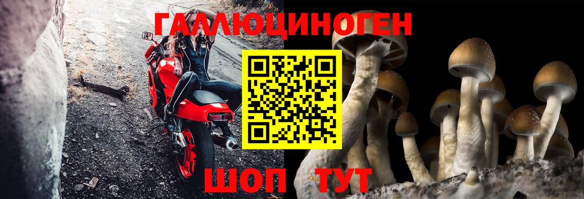 Псилоцибиновые грибы прущие грибы Можайск